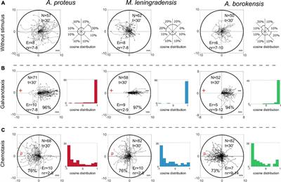 Associative Conditioning Is a Robust Systemic Behavior in Unicellular Organisms: An Interspecies Comparison